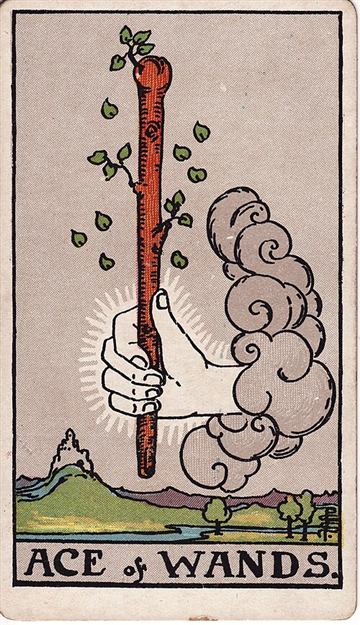 완드 에이스(Ace of Wands) 타로카드